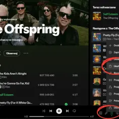 Ekran Spotify z zespołem The Offspring i menu z opcją "Usuń z kolejki".